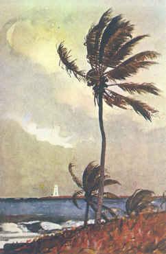 Winslow Homer Palm Tree, Nassau Sweden oil painting art